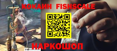 крисы Кингисепп