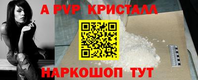крисы Кингисепп