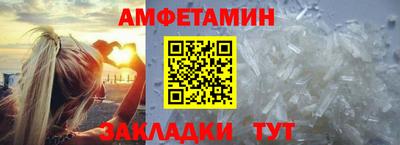 крисы Кингисепп