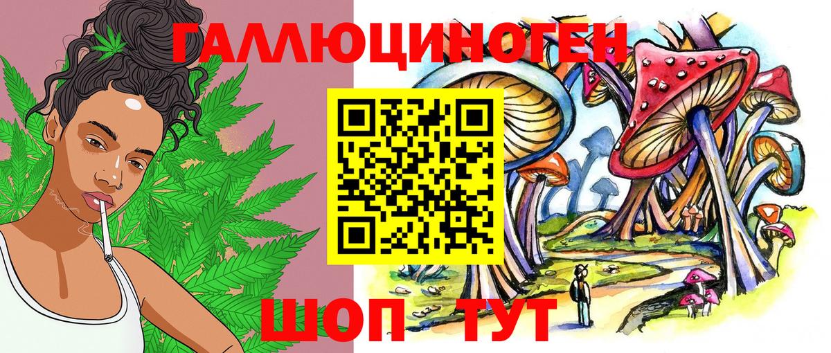 Псилоцибиновые грибы MAGIC MUSHROOMS Кулебаки